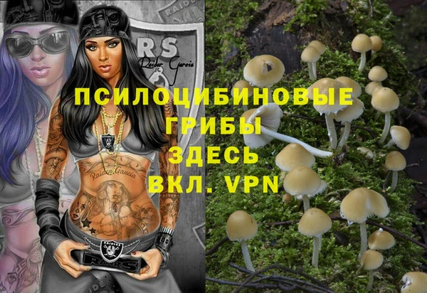 мдпв Сосновый Бор