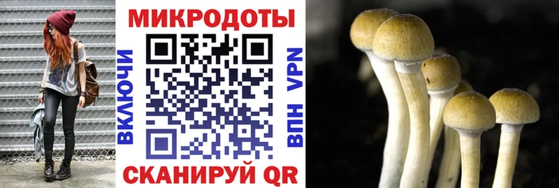 сколько стоит  Адыгейск  Псилоцибиновые грибы GOLDEN TEACHER 